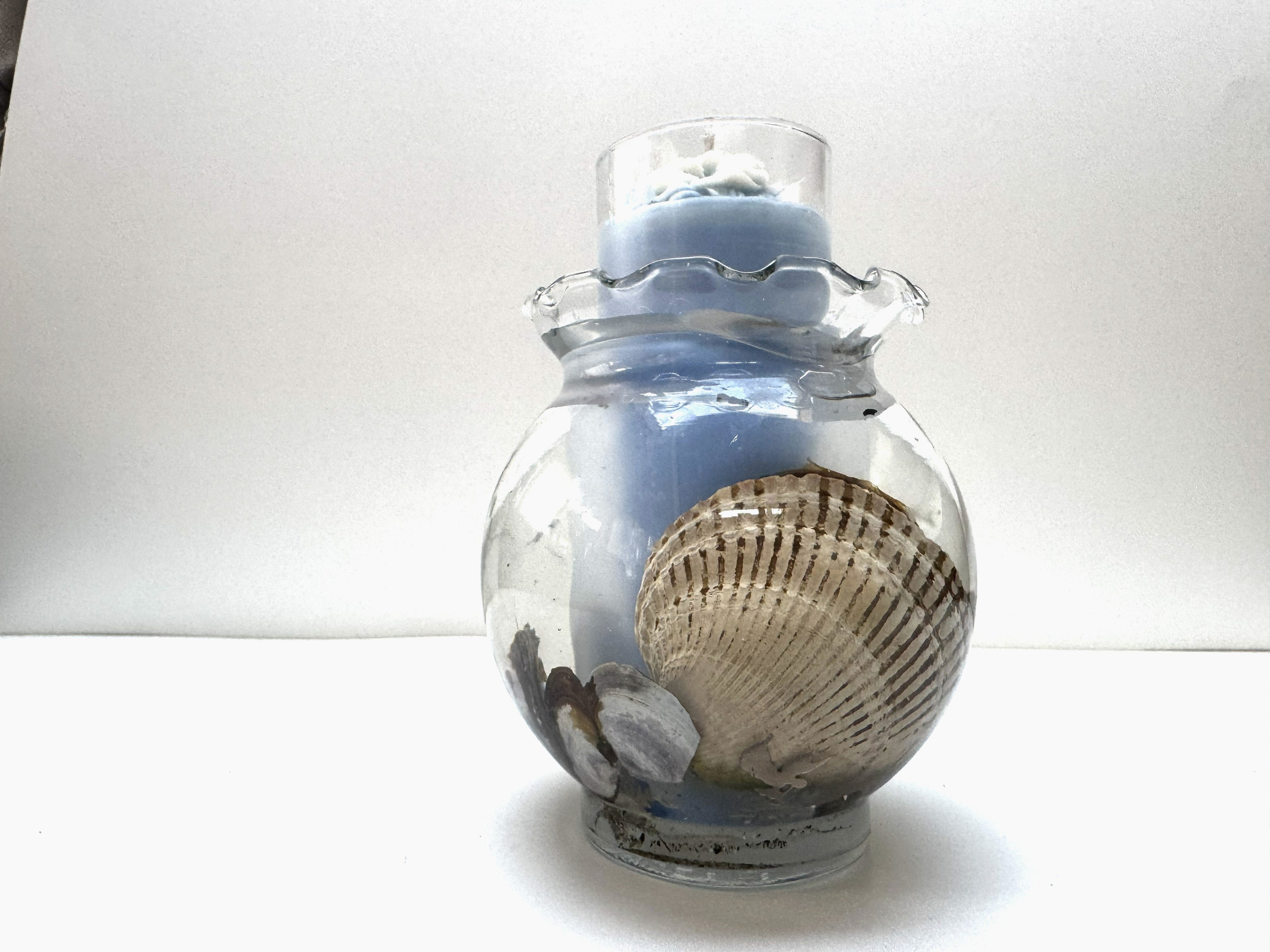 Aquarium Sea