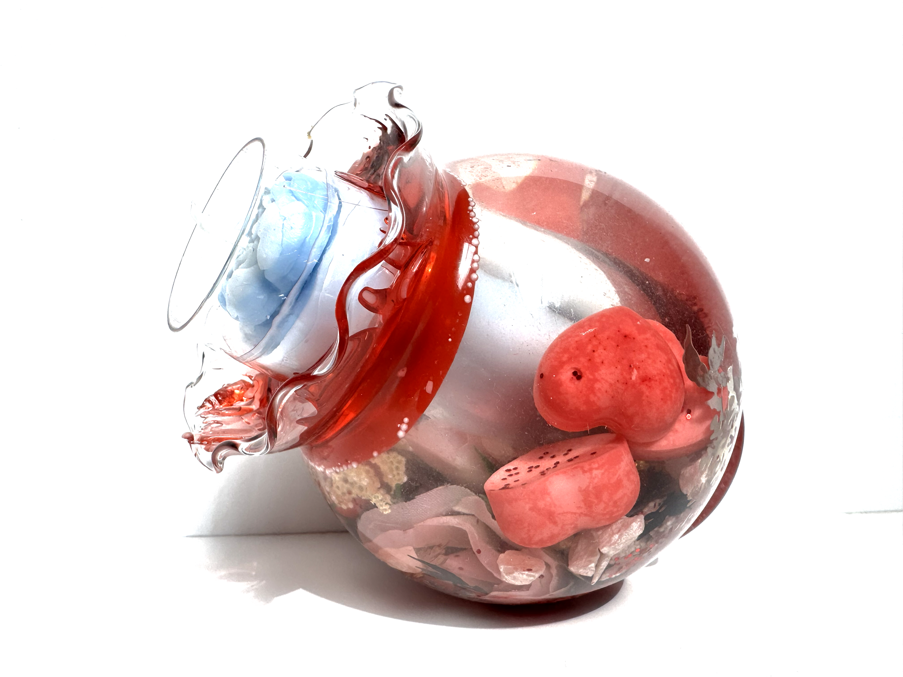 Aquarium Flora