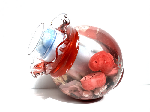 Aquarium Flora